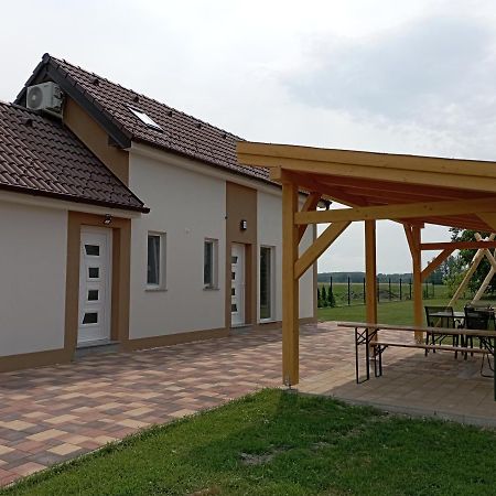 Vadgalamb Apartmanhaz Lipót المظهر الخارجي الصورة